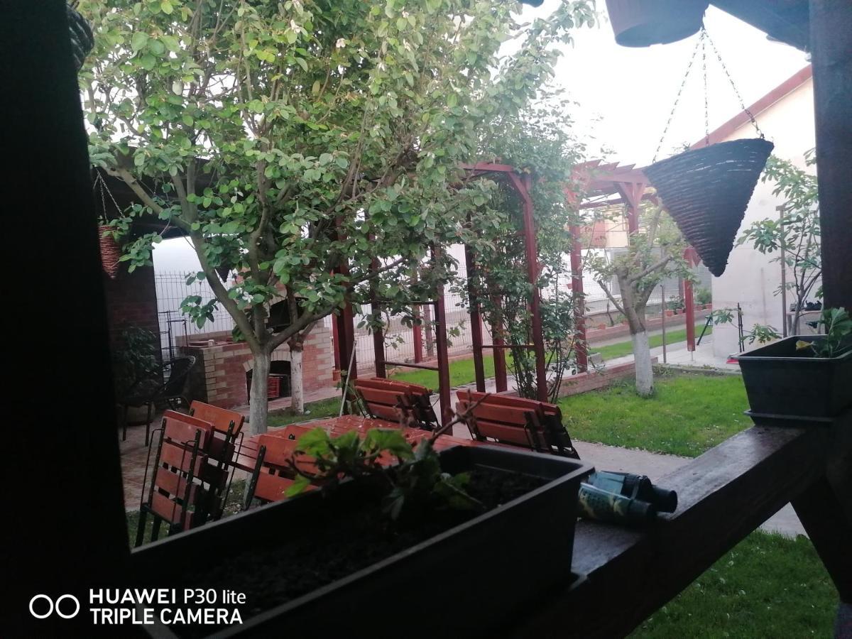 Casa Stefy Vama Veche Вама Веке Екстериор снимка
